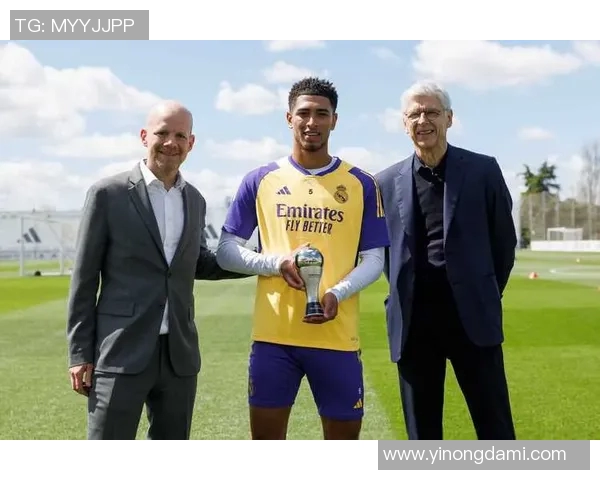 新西兰足球明星排名揭晓年度最佳球员及其表现分析